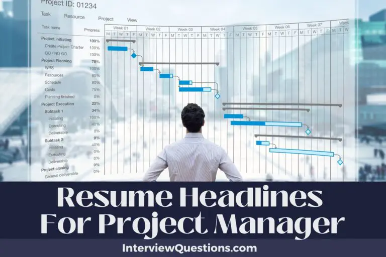 713 Resume Headlines For Project Managers (Chart Your Path)