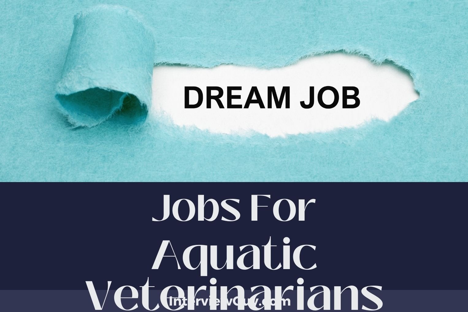 Jobs For Aquatic Veterinarians