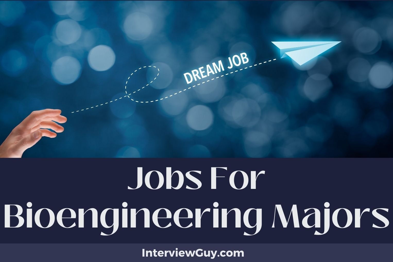 Jobs For Bioengineering Majors