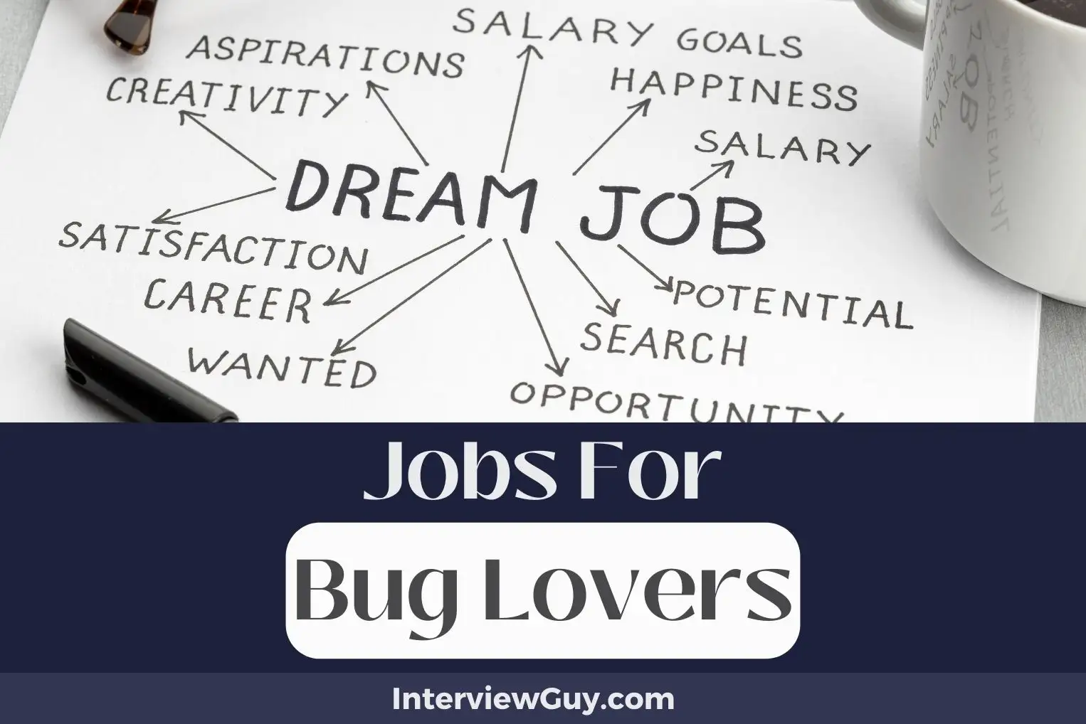 Jobs For Bug Lovers