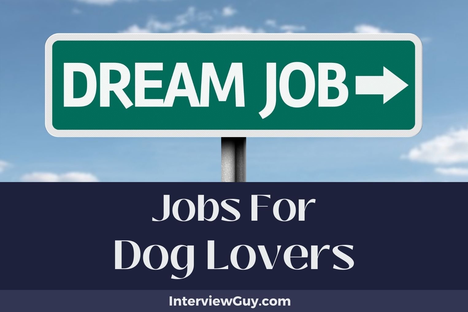 Jobs For Dog Lovers