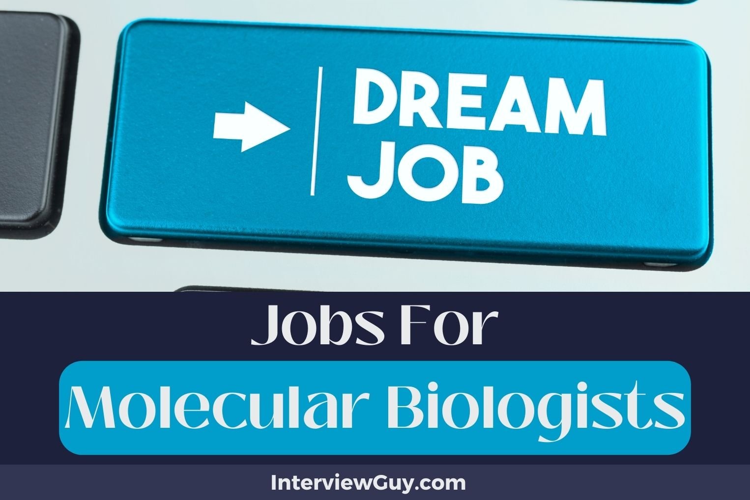 Jobs For Molecular Biologists