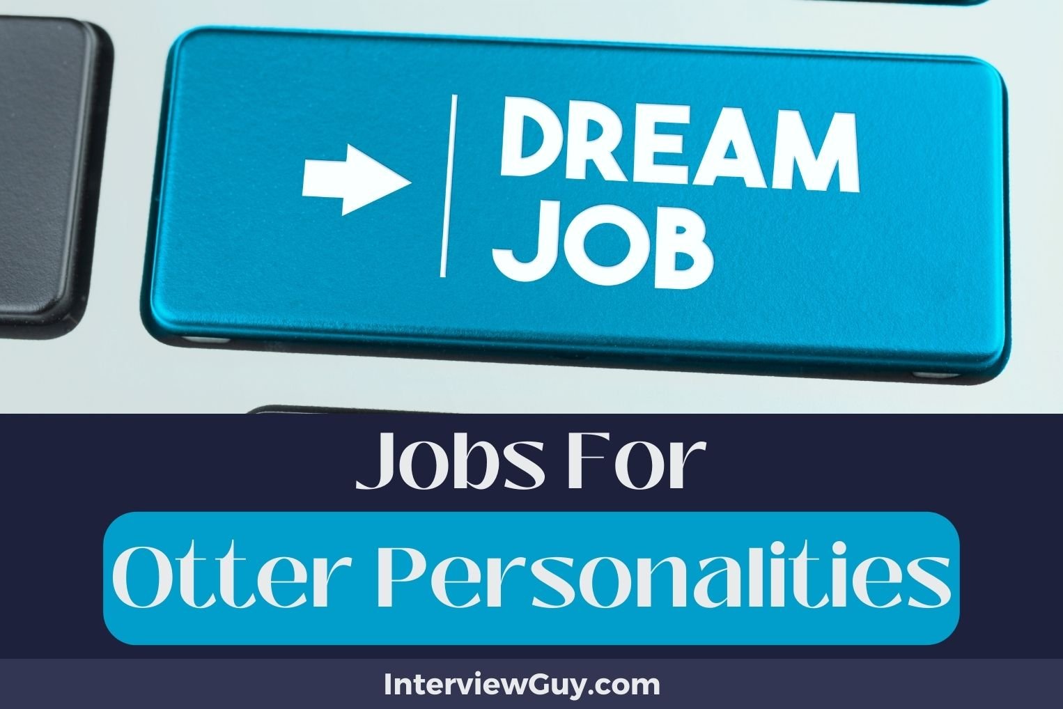 Jobs For Otter Personalities