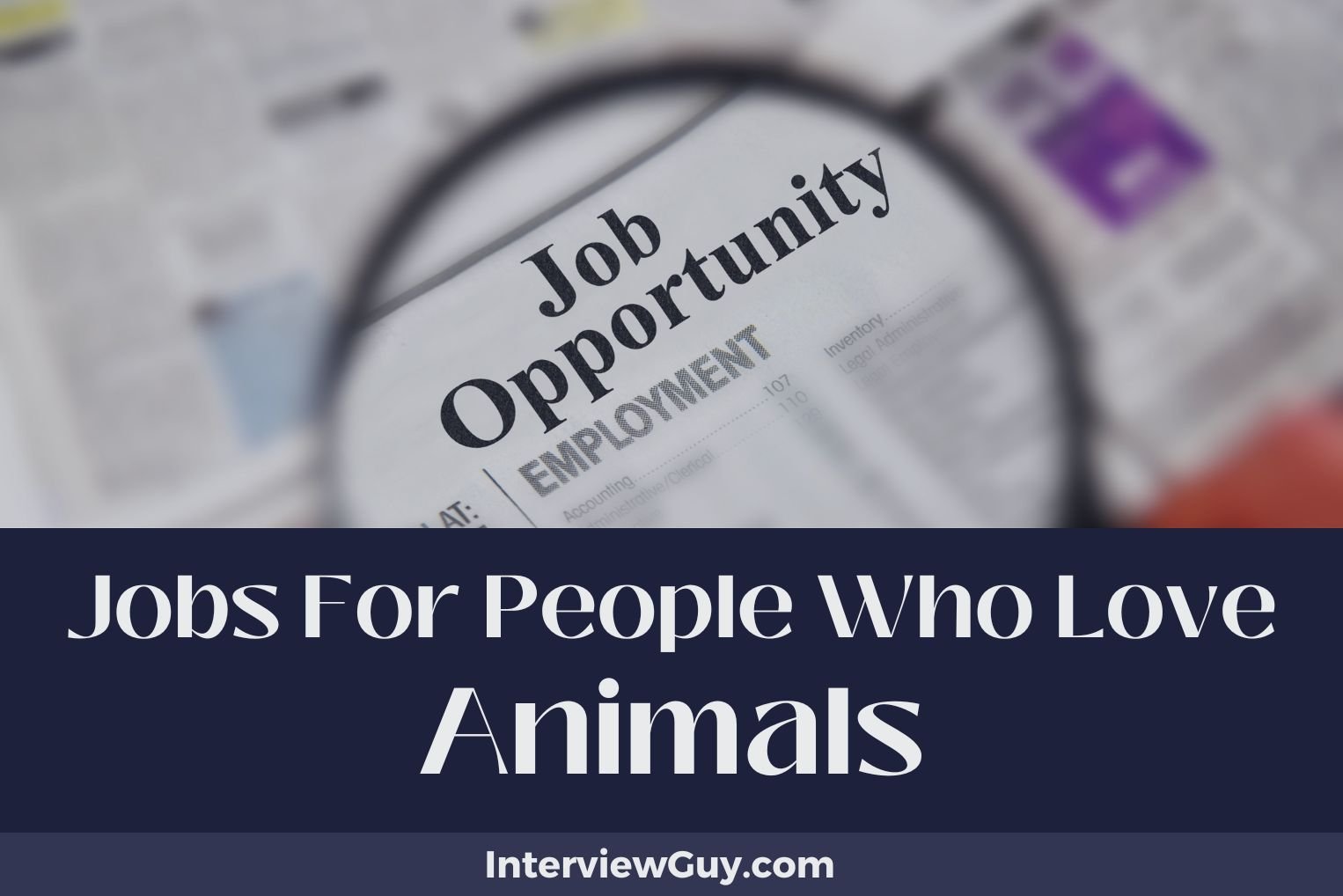 Jobs For People Who Love Animals