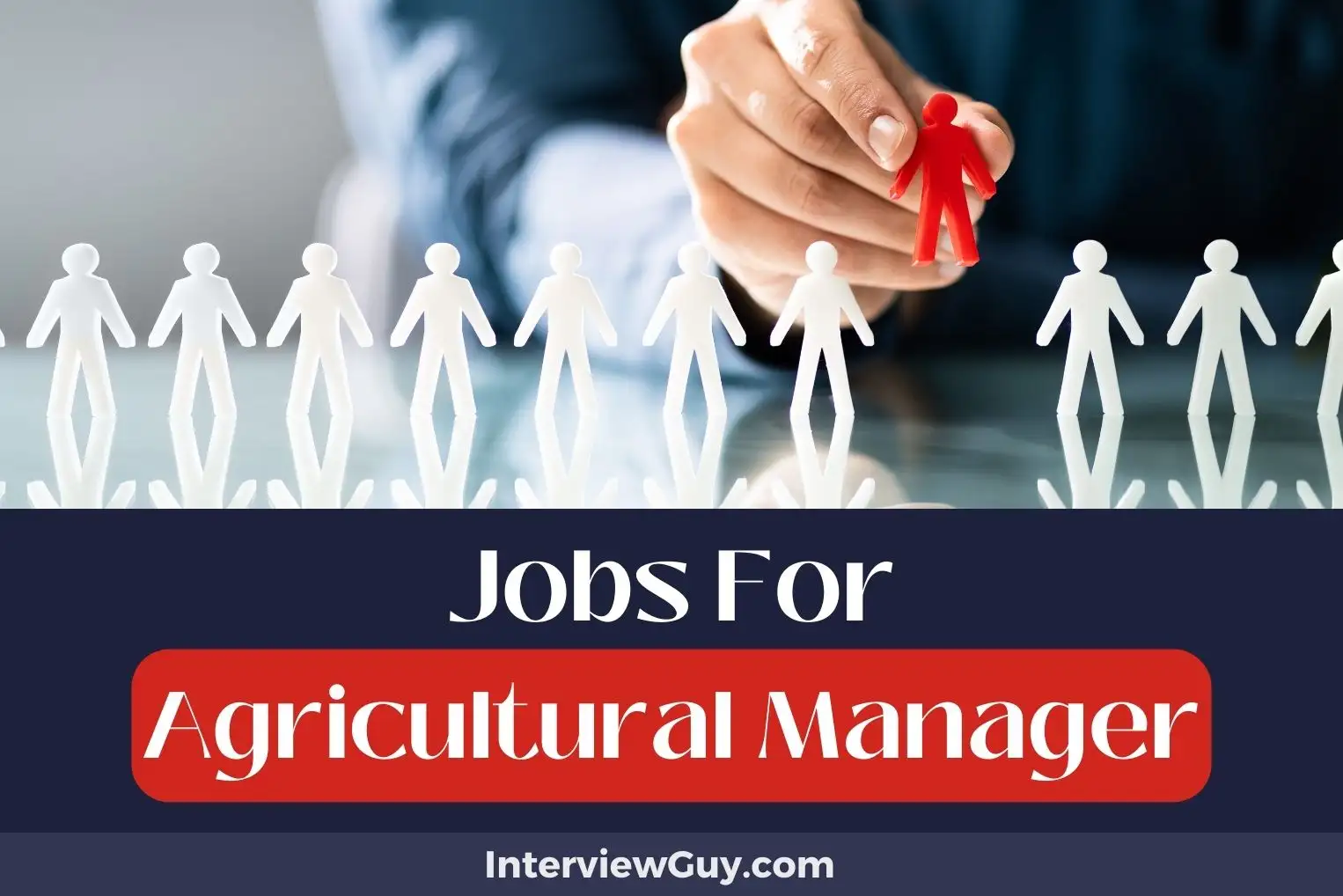 Jobs For Agricultural Manager
