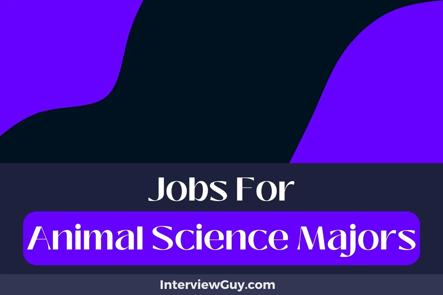 Jobs For Animal Science Majors