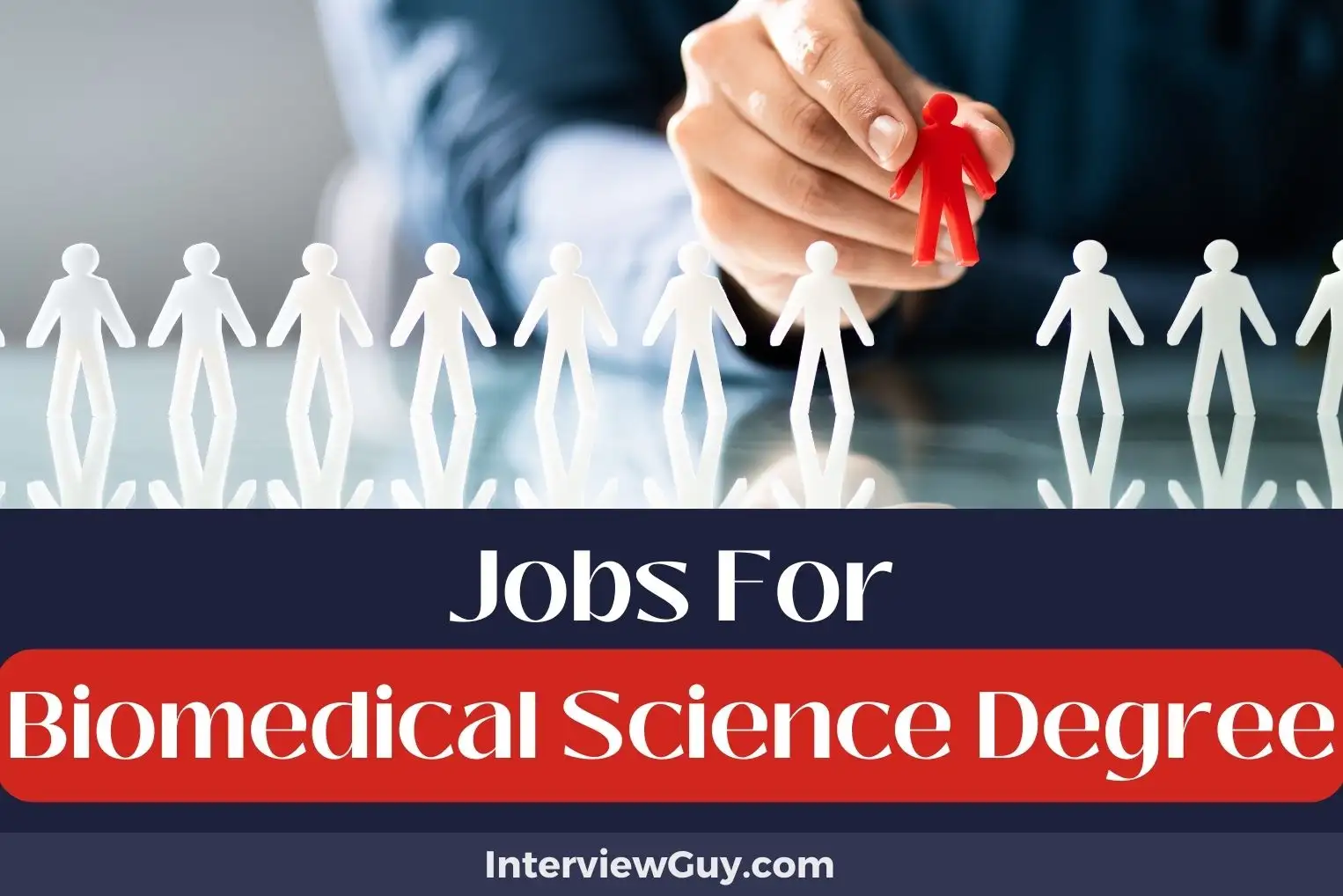 Jobs For Biomedical Science Degree