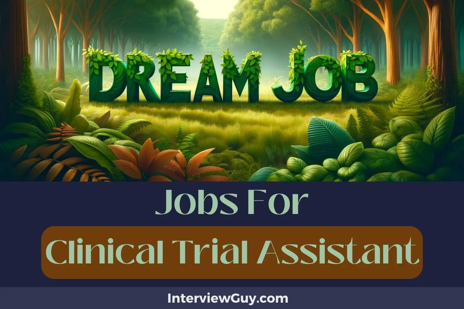 Jobs For Clinical Trial Assistant