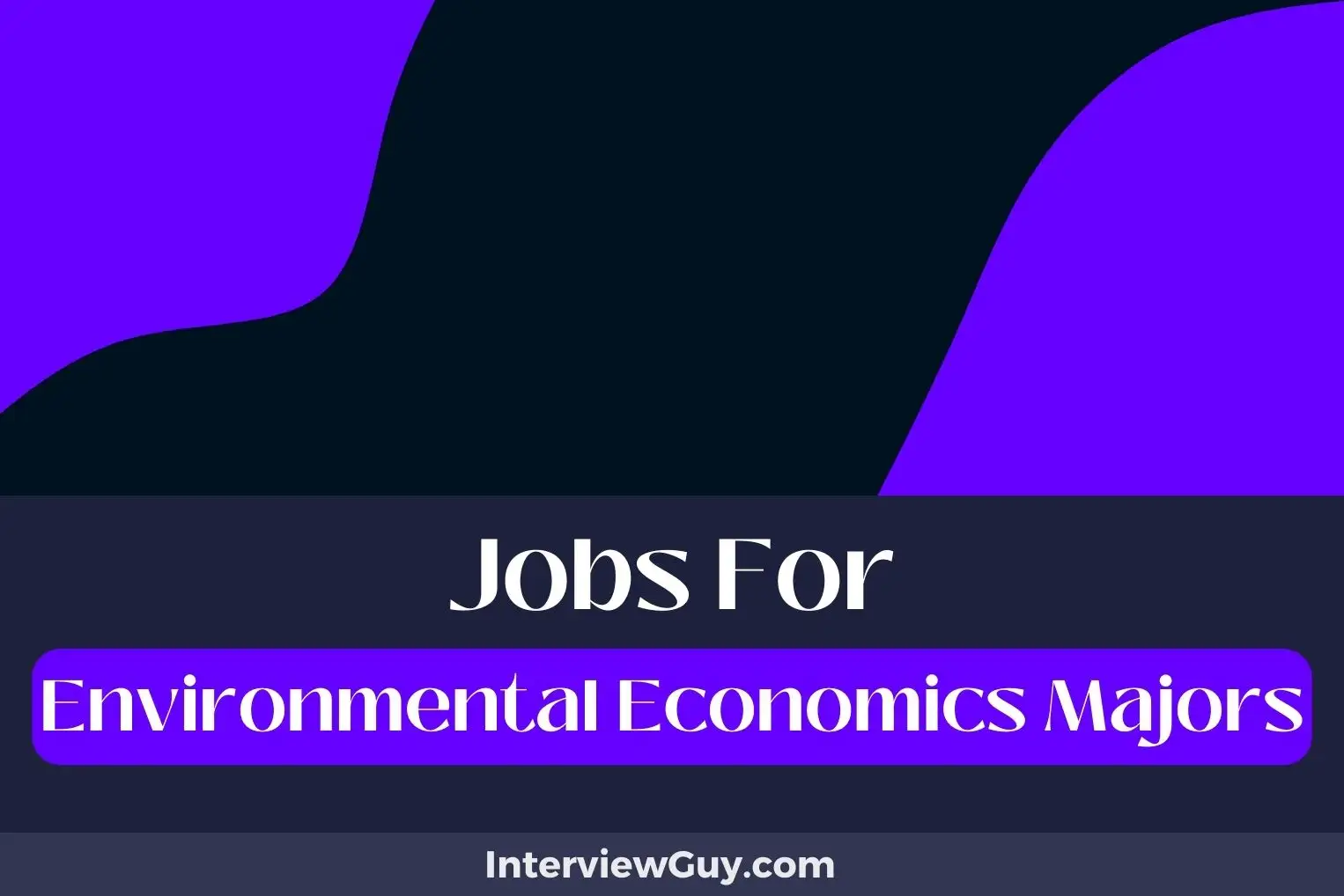 Jobs For Environmental Economics Majors