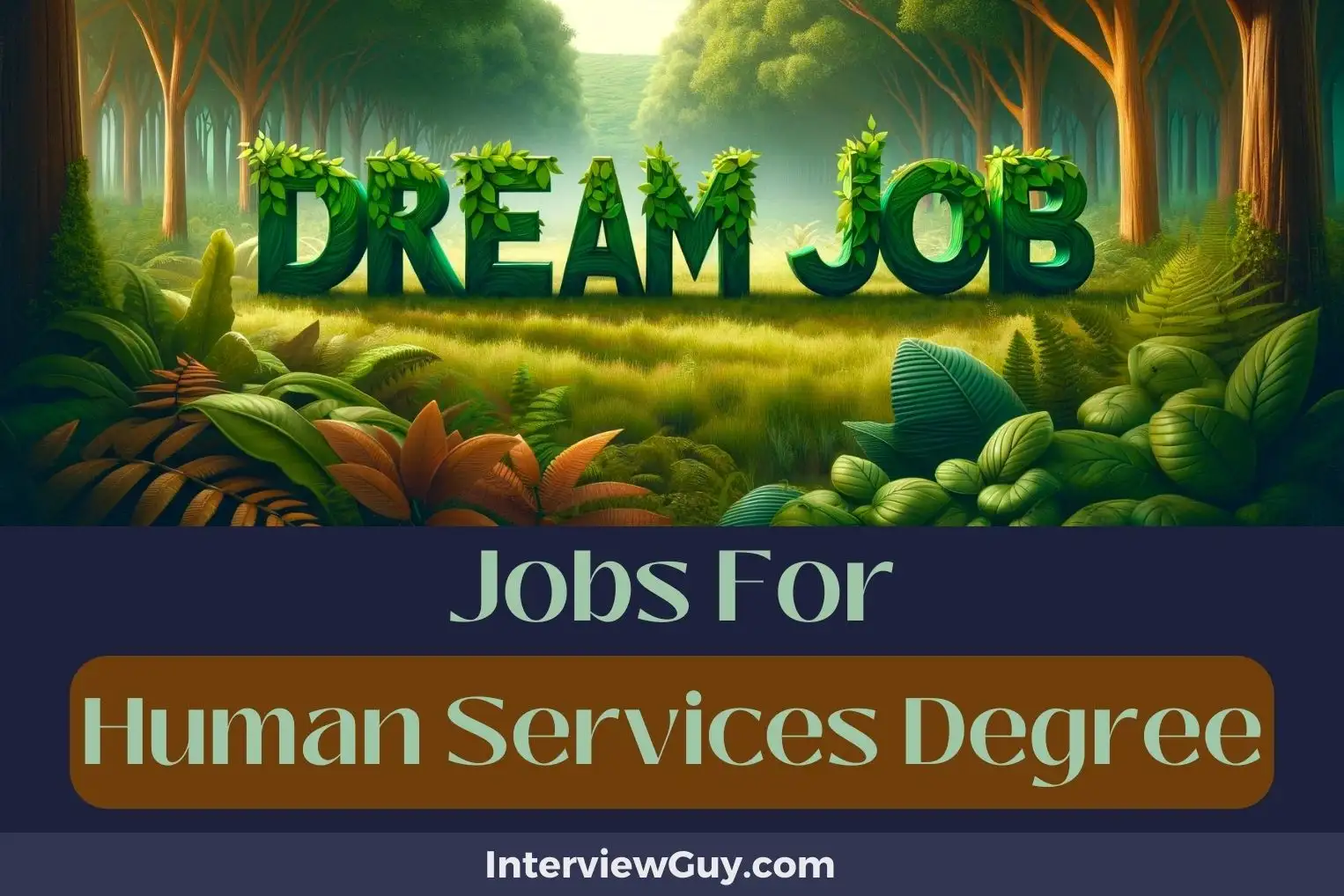 Jobs For Human Services Degree