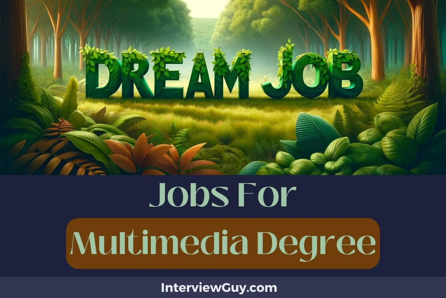 Jobs For Multimedia Degree