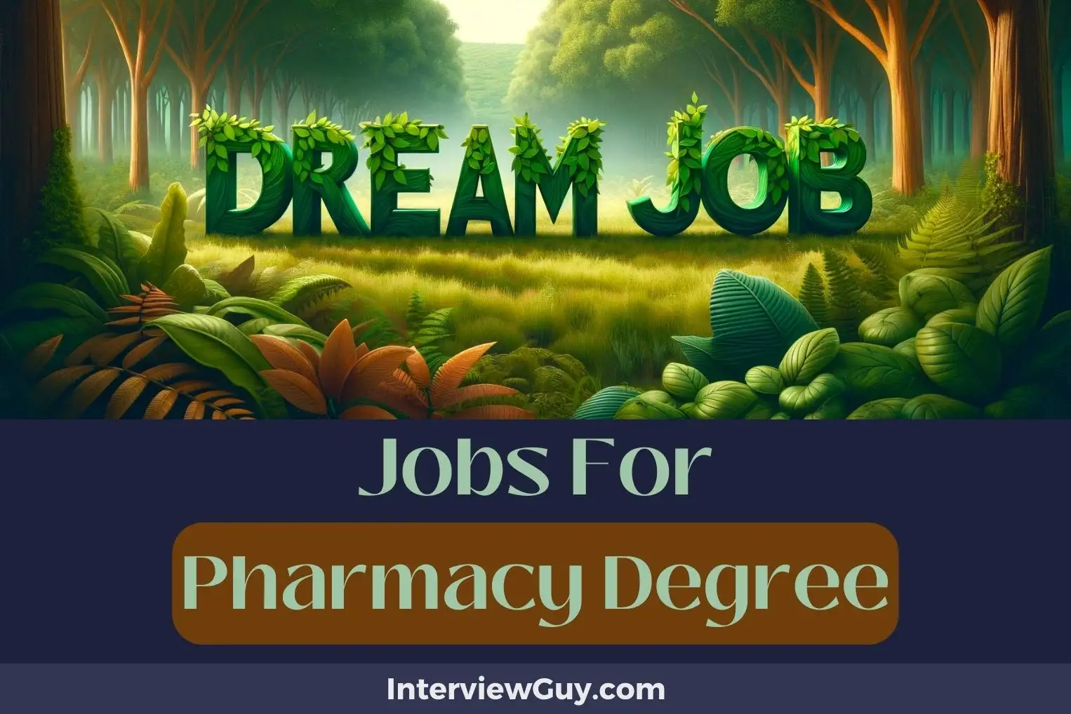 Jobs For Pharmacy Degree