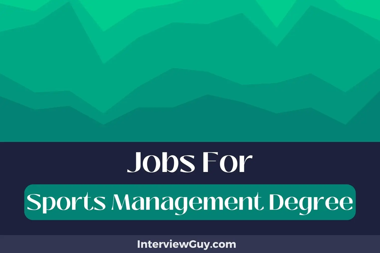 Jobs For Sports Management Degree