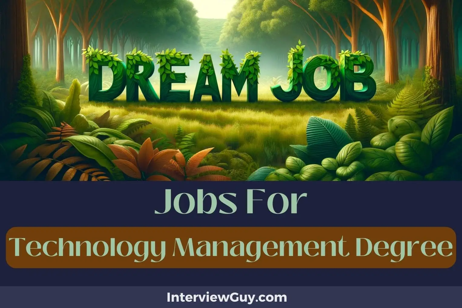 Jobs For Technology Management Degree