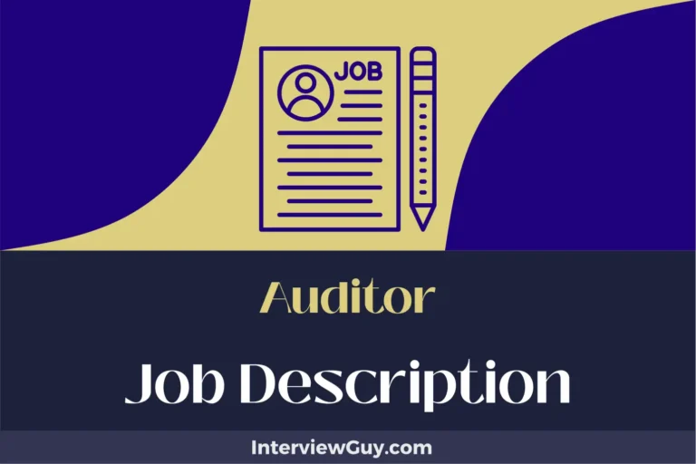 Auditor Job Description [Updated for 2024]
