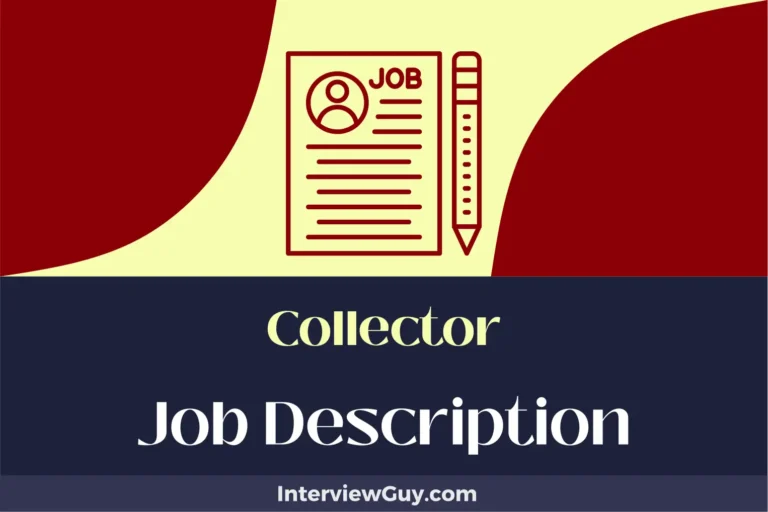 Collector Job Description [Updated for 2024]