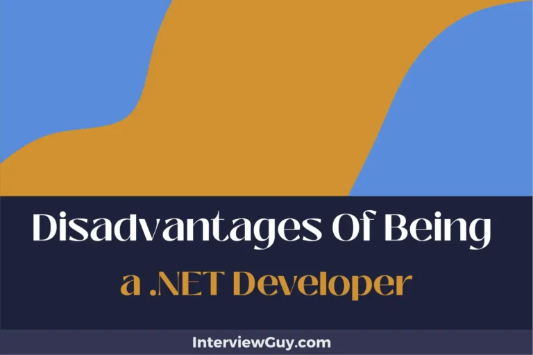 27 Disadvantages of Being a Net Developer (Bugs in the System)