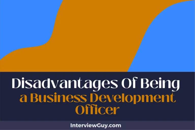 26 Disadvantages of Being a Business Development Officer (Deal-Making Dilemmas)
