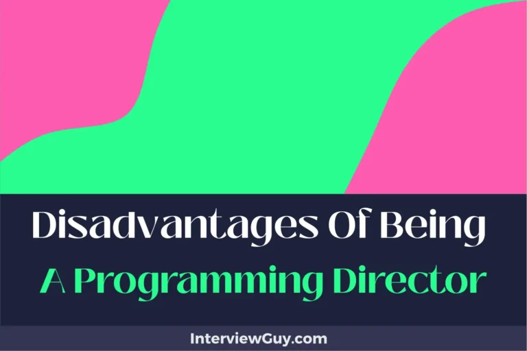 26 Disadvantages of Being a Programming Director (Code Chaos Continues)