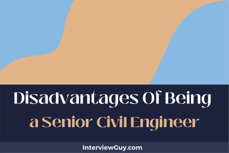 30 Disadvantages of Being a Senior Civil Engineer (Project Pains)
