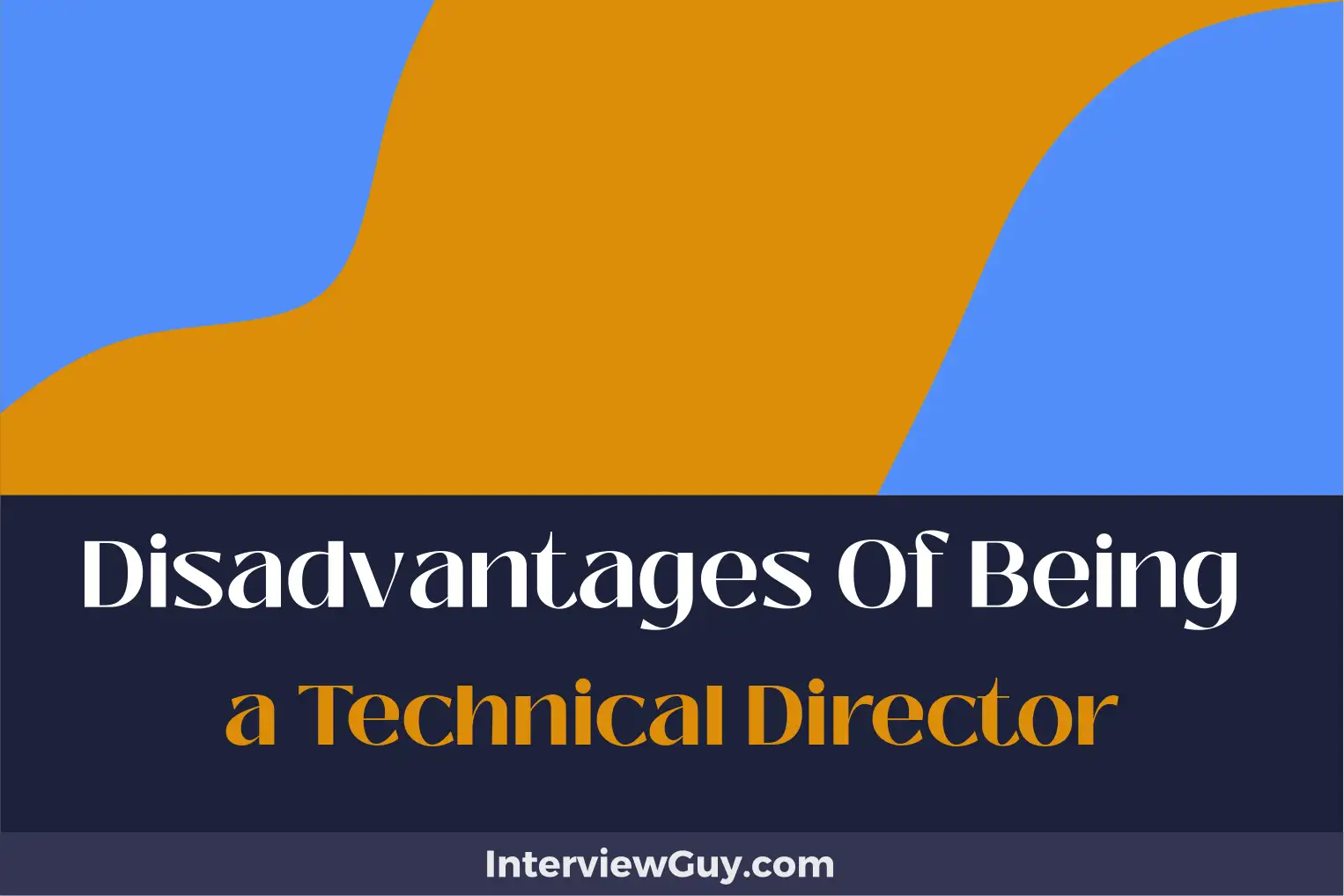 disadvantages of being a technical director