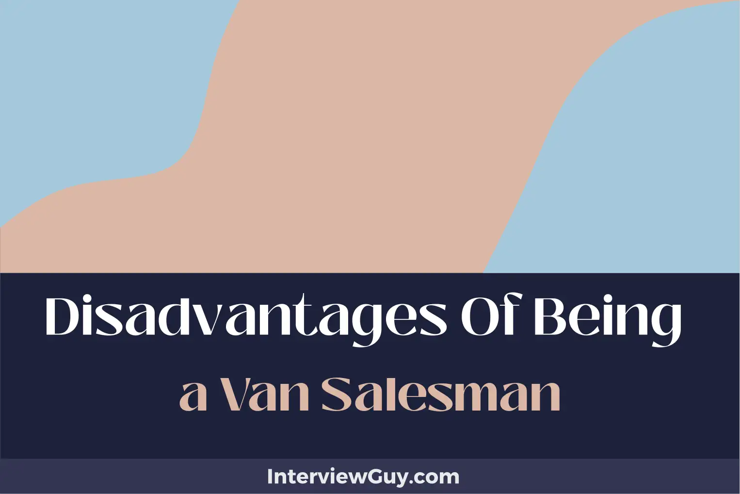 disadvantages of being a van salesman