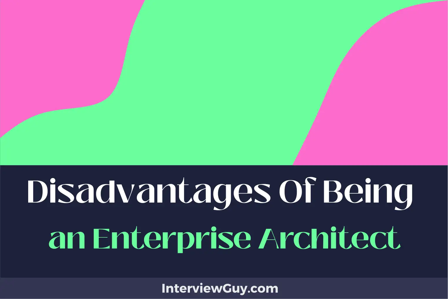 disadvantages of being an enterprise architect