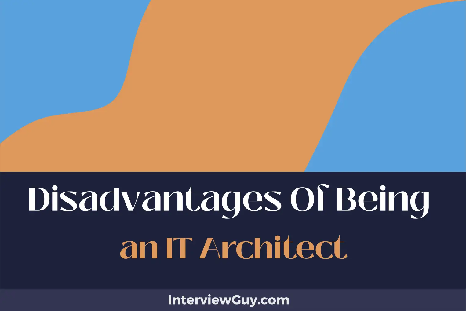 disadvantages of being an it architect
