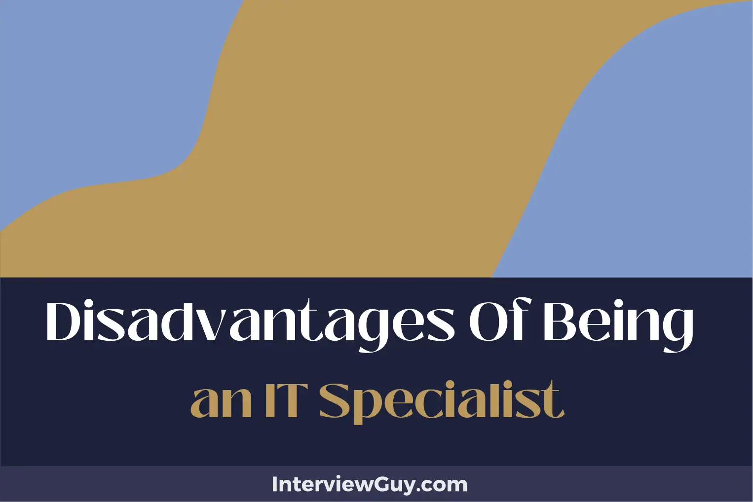 disadvantages of being an it specialist