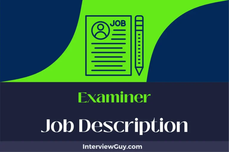 Examiner Job Description [Updated for 2024]