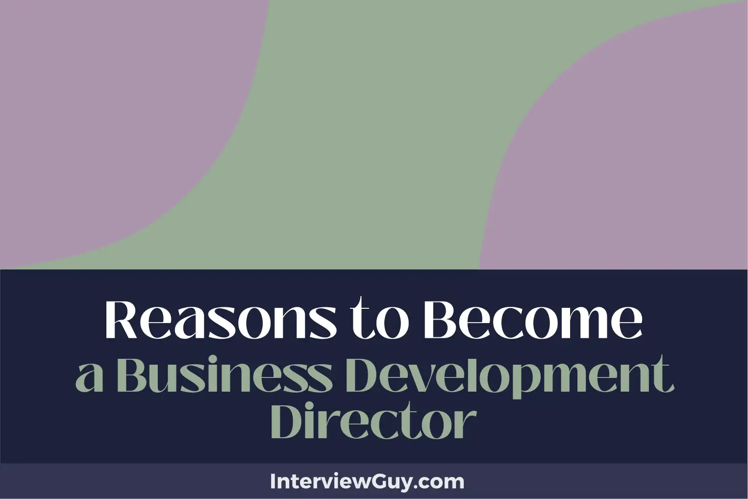 reasons to become a business development director