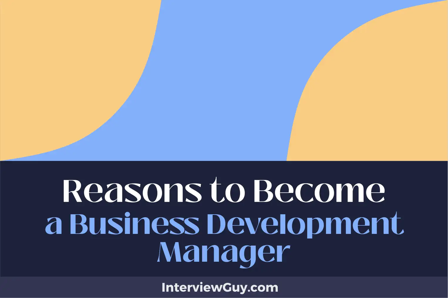 reasons to become a business development manager