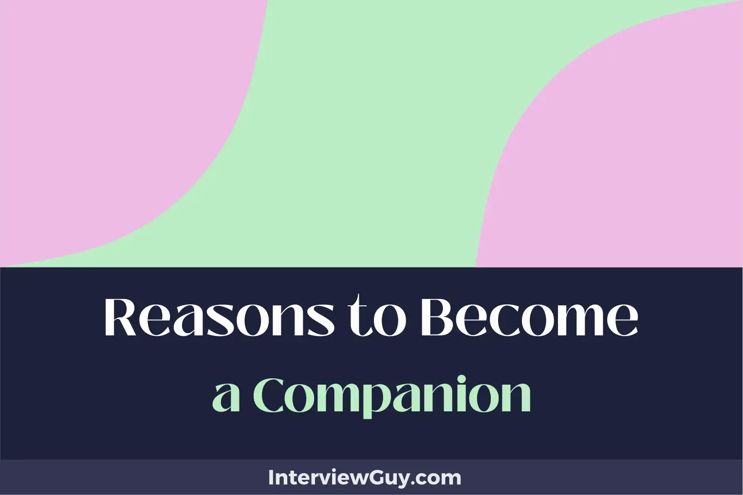 reasons to become a companion