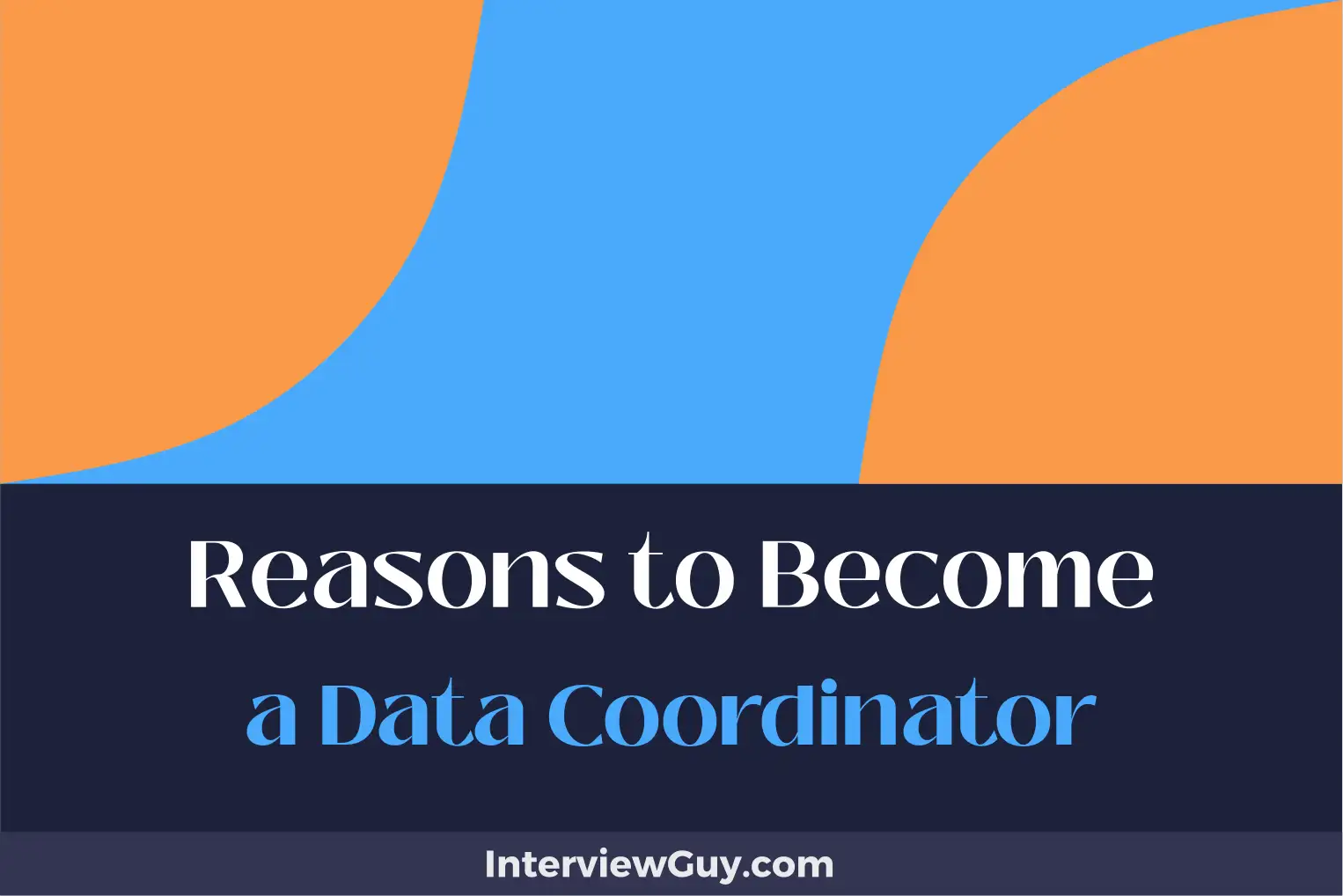 reasons to become a data coordinator