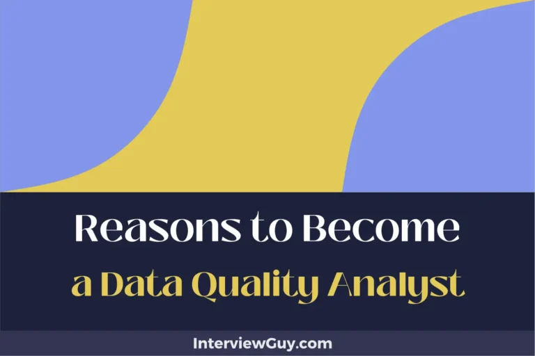 24 Reasons to Become a Data Quality Analyst (Command a High Salary)