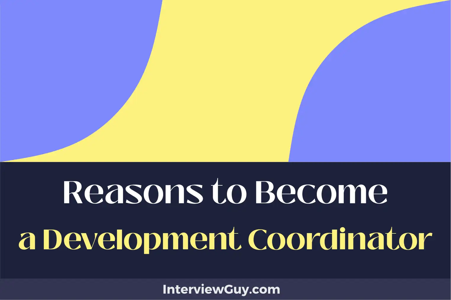 reasons to become a development coordinator