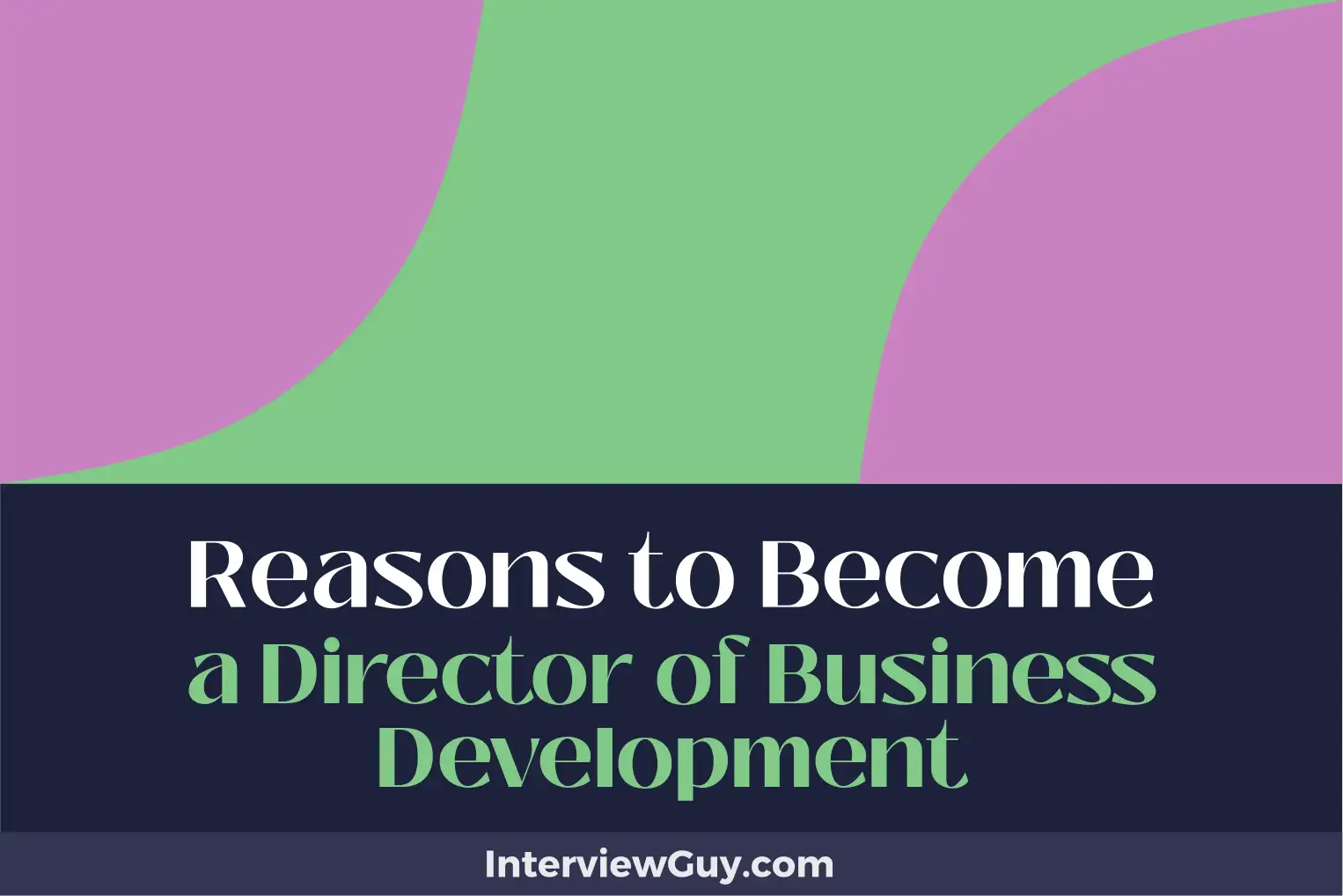 reasons to become a director of business development