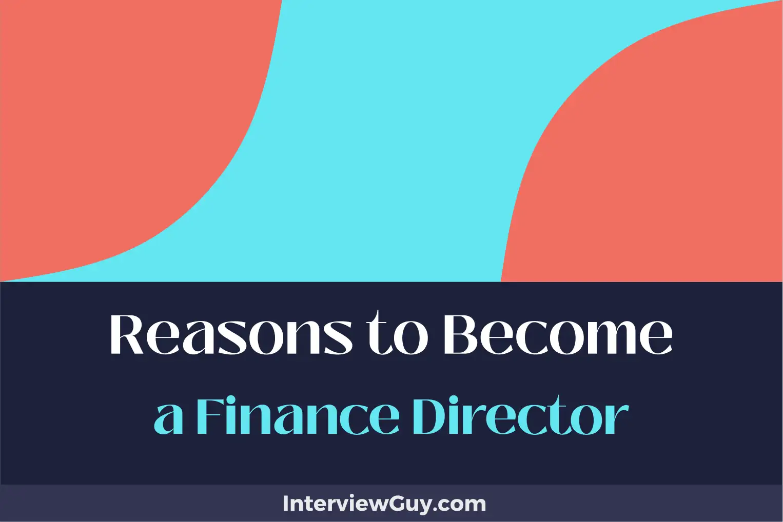 reasons to become a finance director