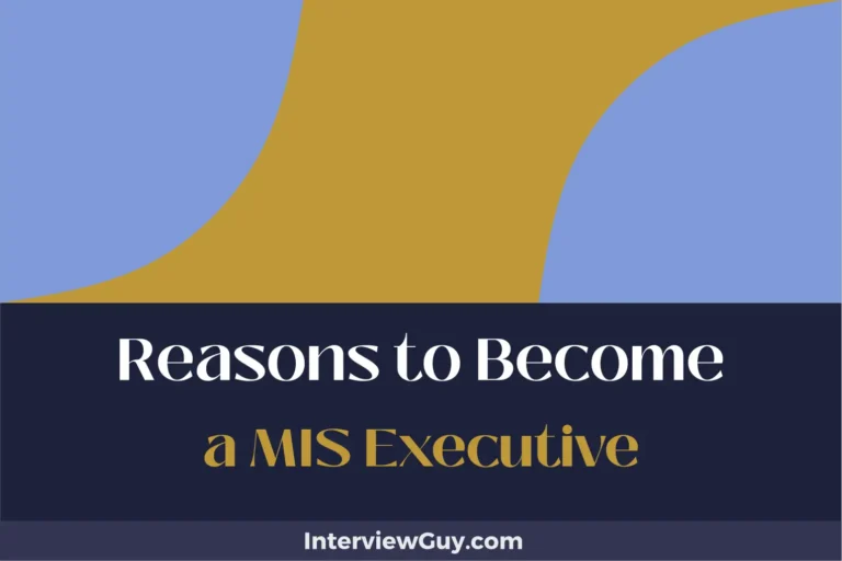 20 Reasons to Become a MIS Executive (Secure High Paying Jobs)