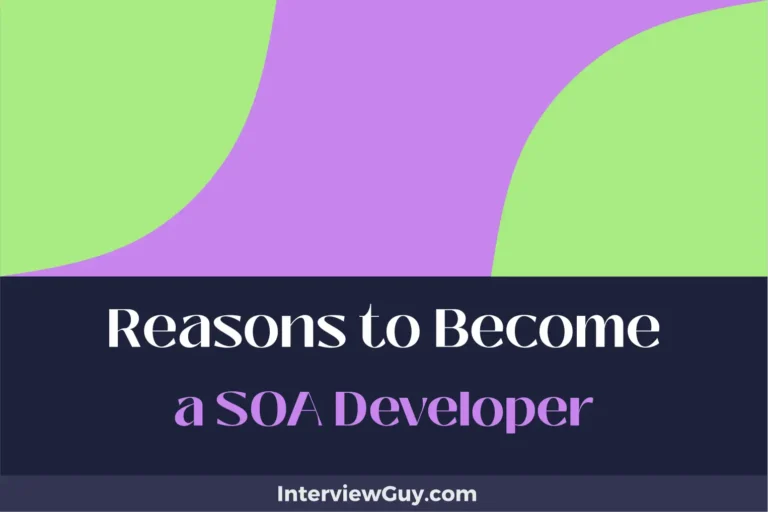 25 Reasons to Become a SOA Developer (Conquer the IT World)