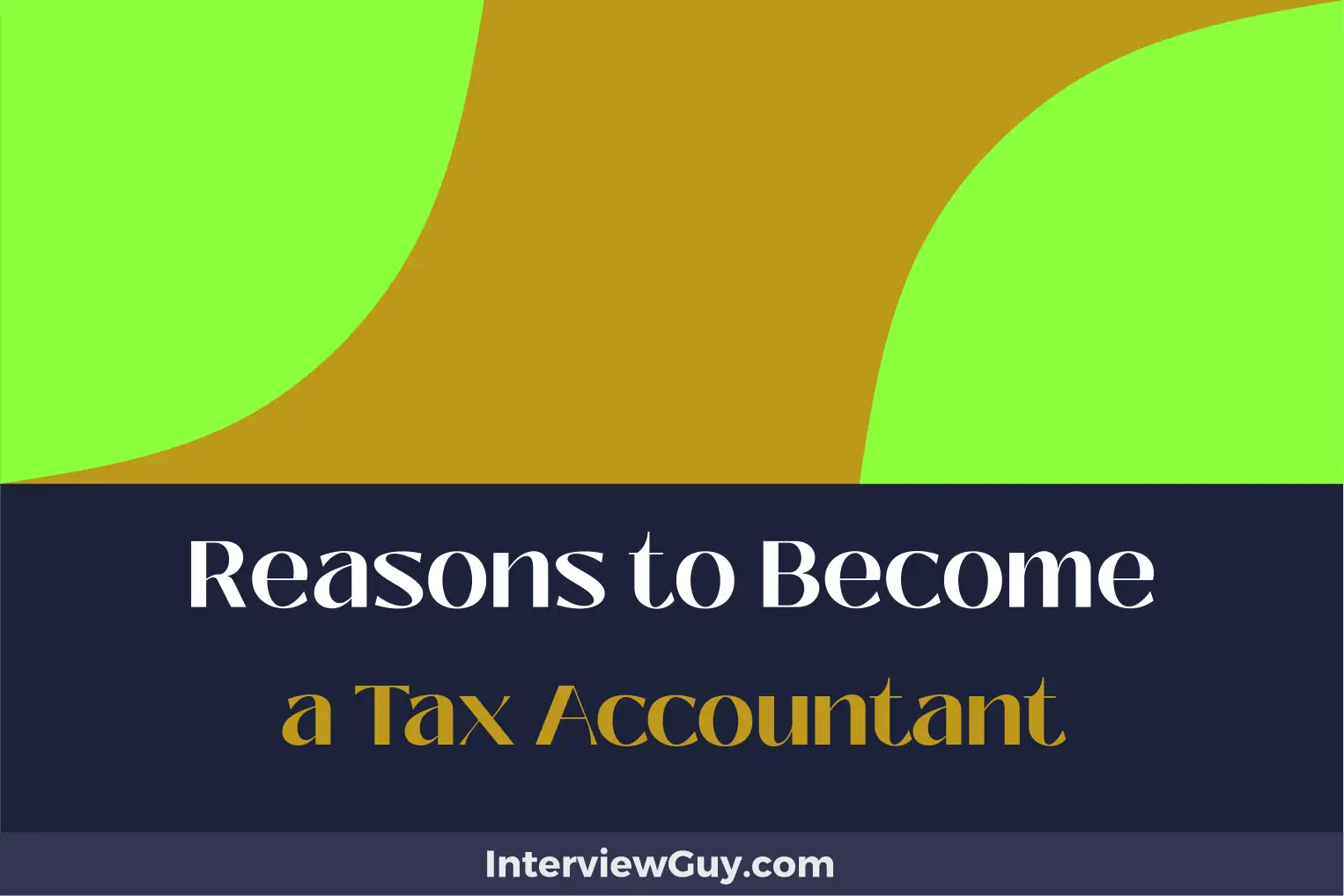 reasons to become a tax accountant
