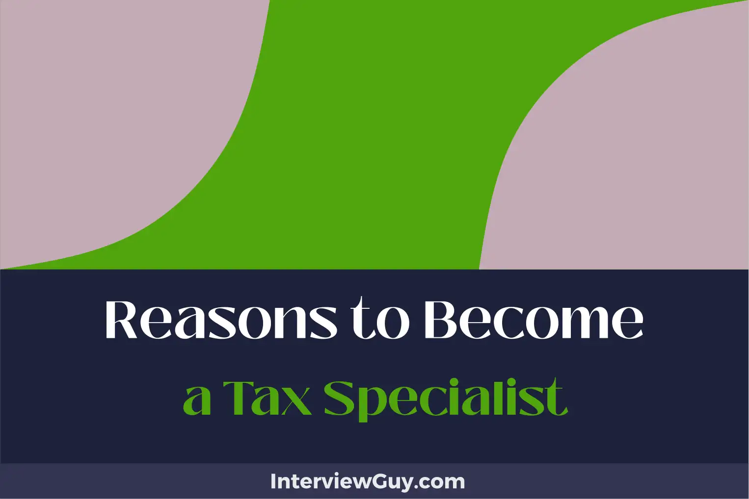 reasons to become a tax specialist