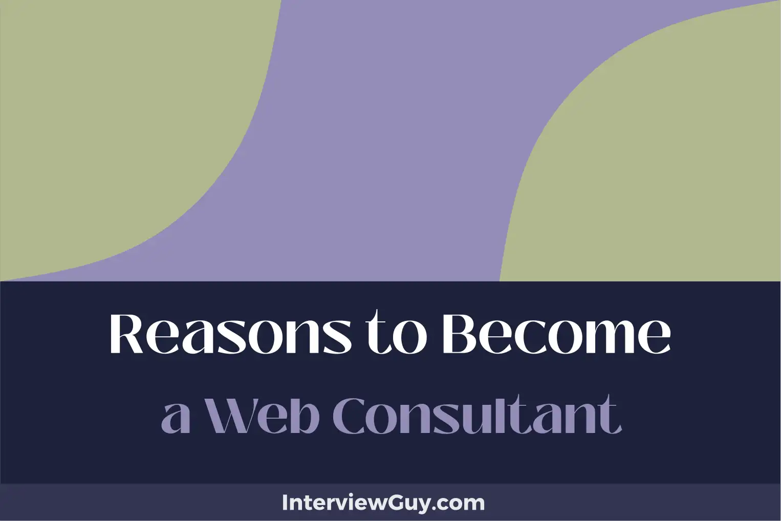 reasons to become a web consultant