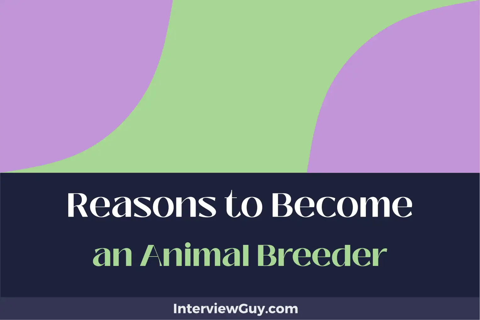 reasons to become an animal breeder
