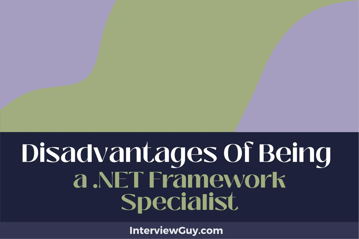 disadvantages of being a .net framework specialist
