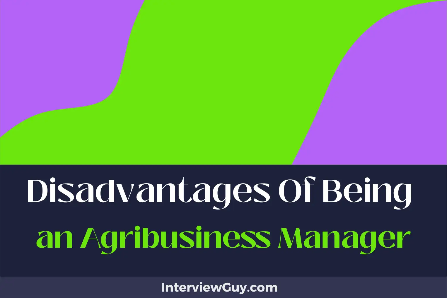disadvantages of being an agribusiness manager