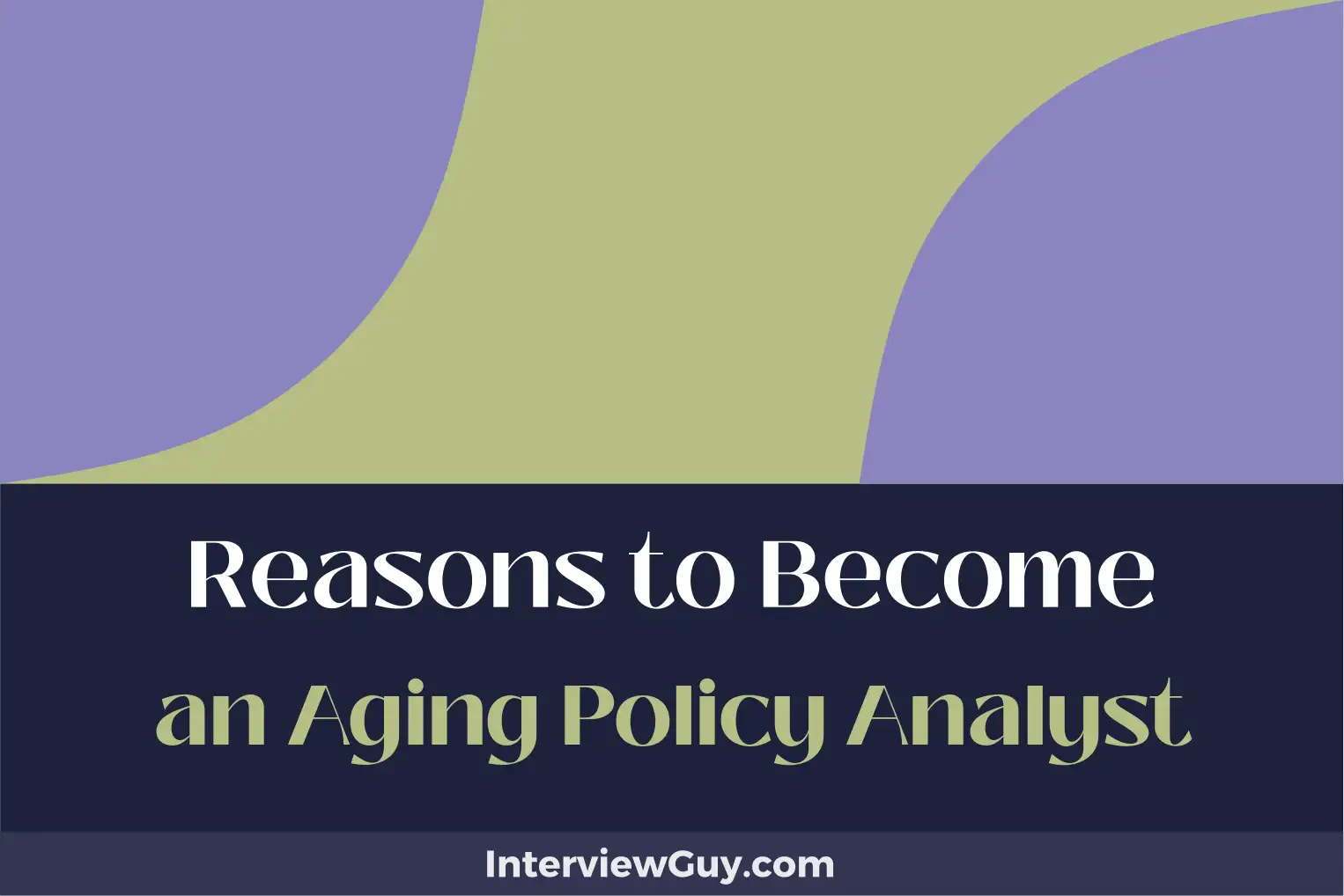 reasons to become an aging policy analyst