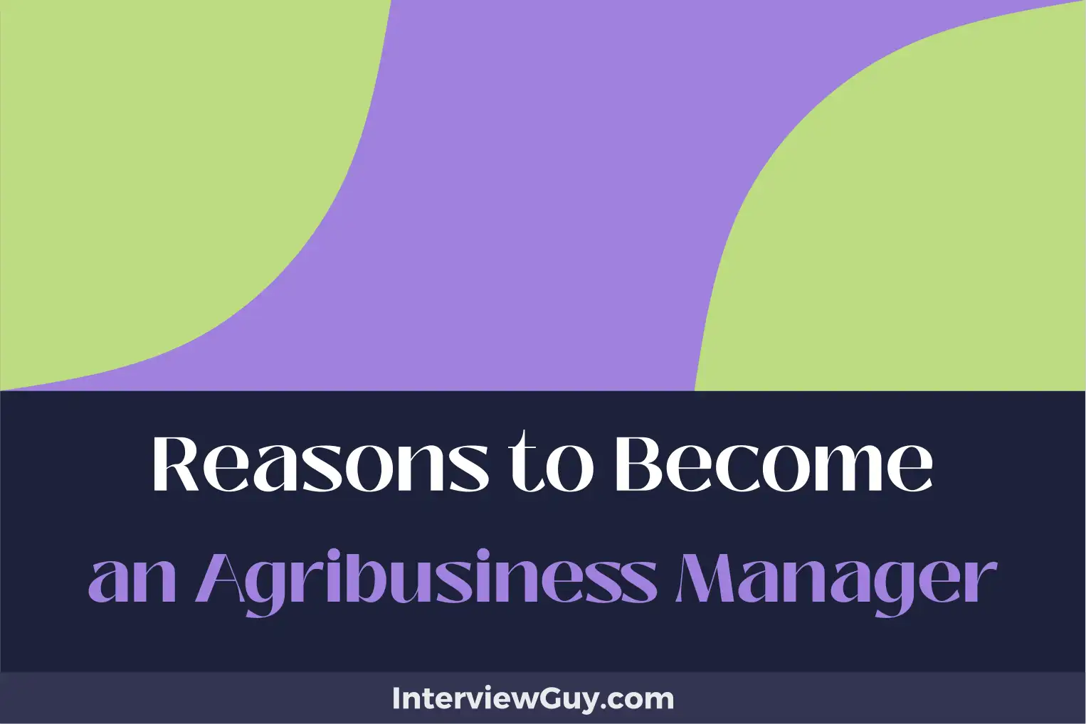 reasons to become an agribusiness manager