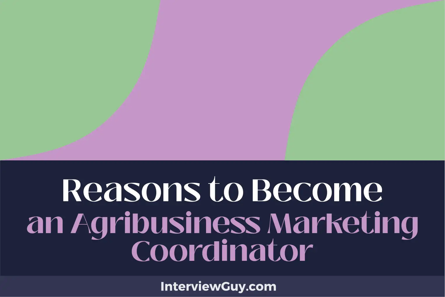 reasons to become an agribusiness marketing coordinator