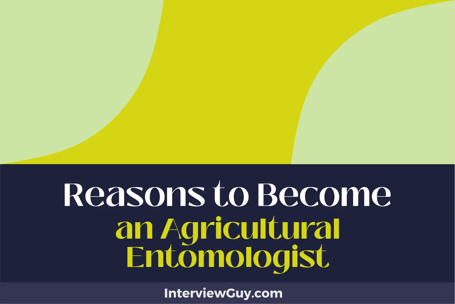 reasons to become an agricultural entomologist